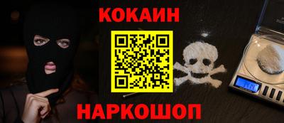 индика Камышлов