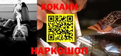 индика Камышлов