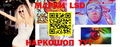 индика Камышлов