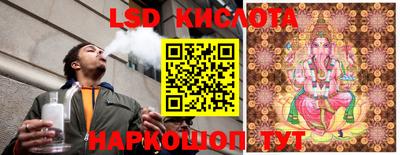 индика Камышлов