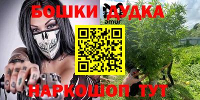 индика Камышлов