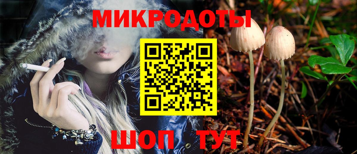 Кропоткин  Галлюциногенные грибы мухоморы  Вход с VPN 
